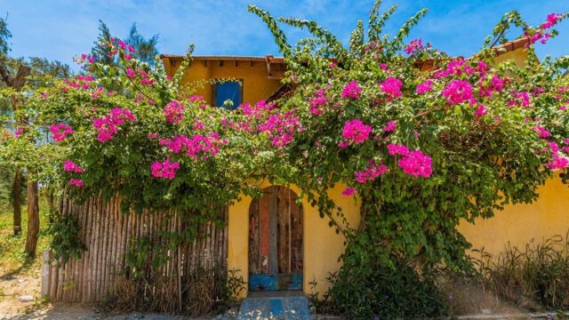 Beachside Boutique Resort Hoi An - Boutique Hotels in An Bang Beach, Hoi An