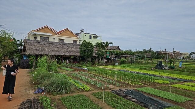 Tra Que Minty Garden