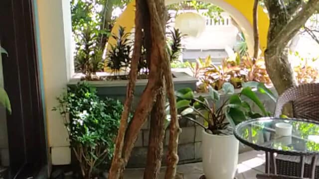 Son Hoi An Boutique Hotel & Spa