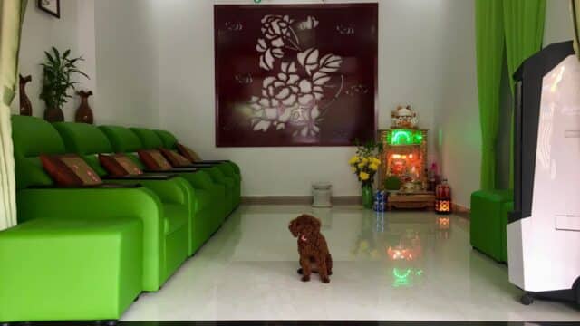 Heaven Garden Spa