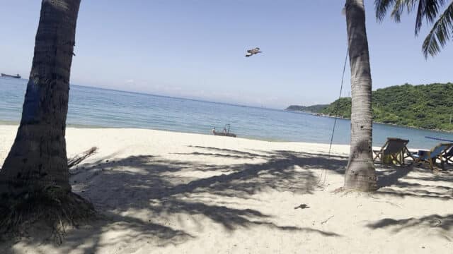 Cham Island Diving