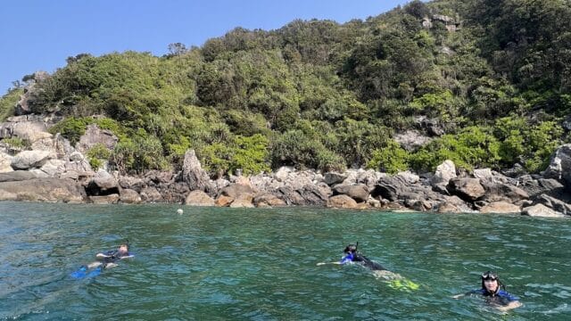 Cham Island Diving