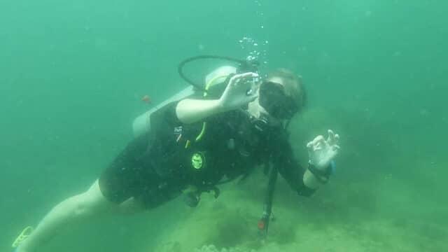 Blue Coral Diving