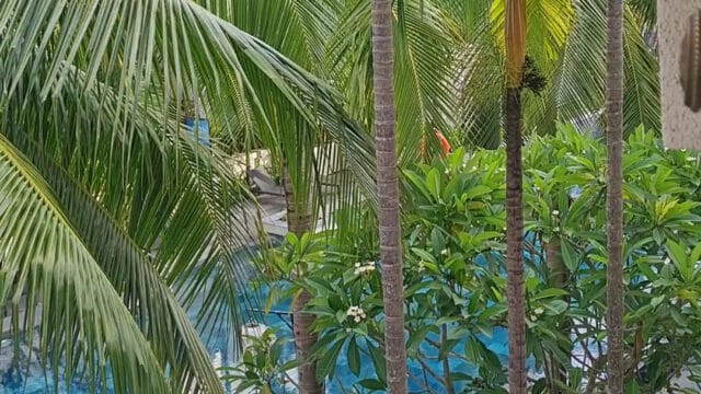 Almanity Hoi An Wellness Resort