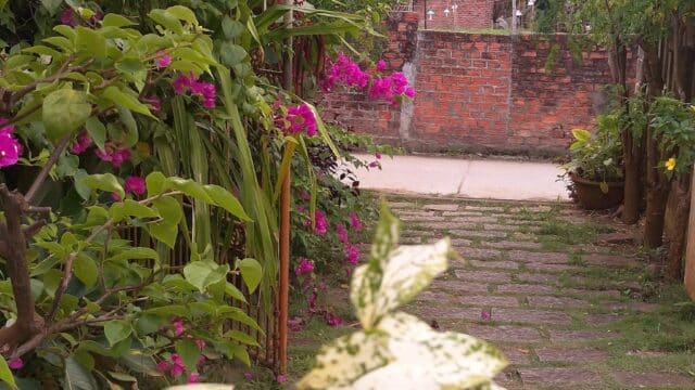 Skybird Homestay