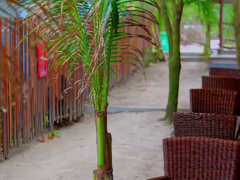 Halcyon Beach Club