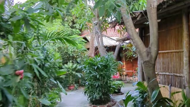 Under The Coconut Tree Homestay
