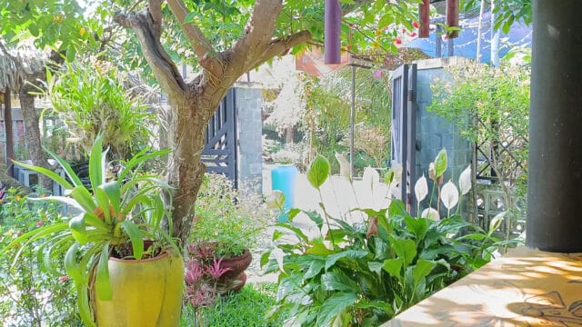Bông Son Hội An Cafe