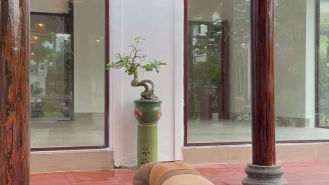 Zen Asoka Yoga