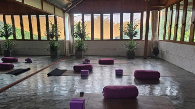 Phin Flow Yoga