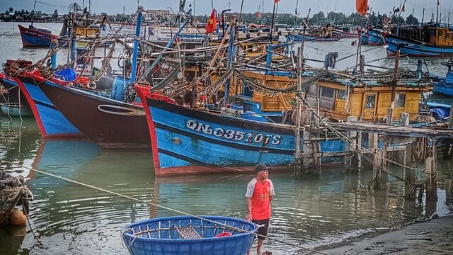 Tấn Điểu Photography