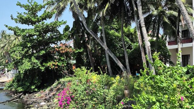 River Beach Resort & Residences