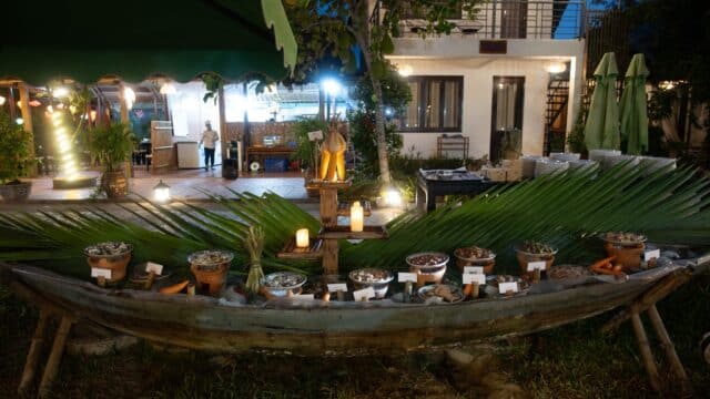 Coco UT Garden
