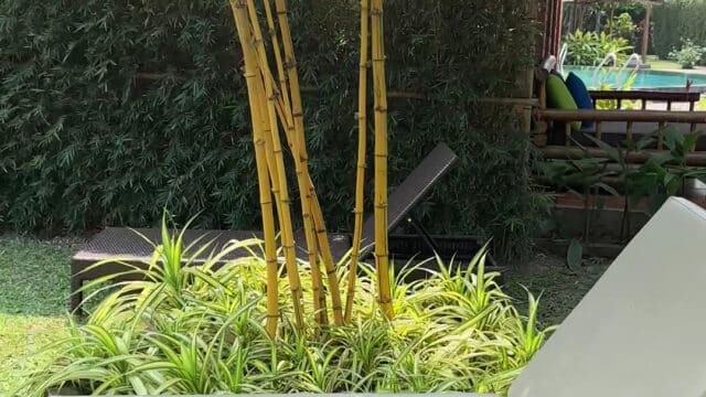 ENSO Retreat Hoi An