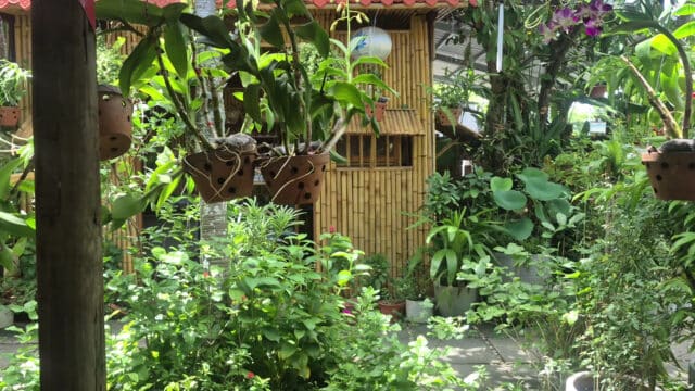 Lotus Zen Spa