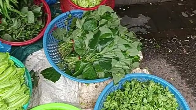 Hoi An Street Market