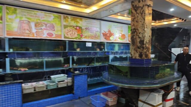 CUAXANH Restaurant