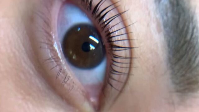 Luxi Eyelash & Spa
