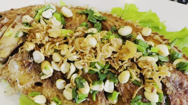Hải Hồ