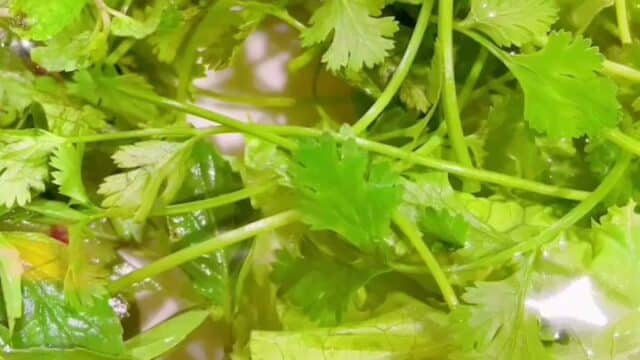 Cooking Class in Hoi An by Cam Thanh Tours Plus