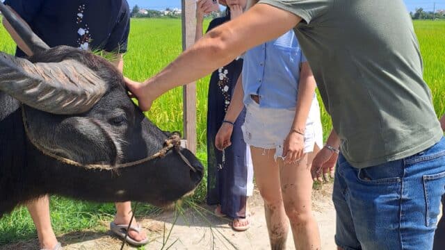Cooking Class in Hoi An by Cam Thanh Tours Plus