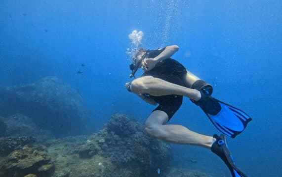 Blue Coral Diving