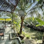 The Basket Boat Cafe & Restaurant
