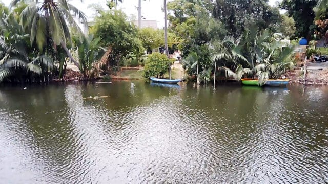Coconut Boat Travel Restaurant & Cooking Class