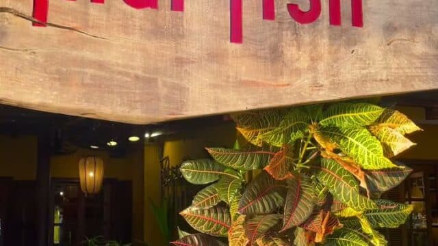 Mai Fish Restaurant