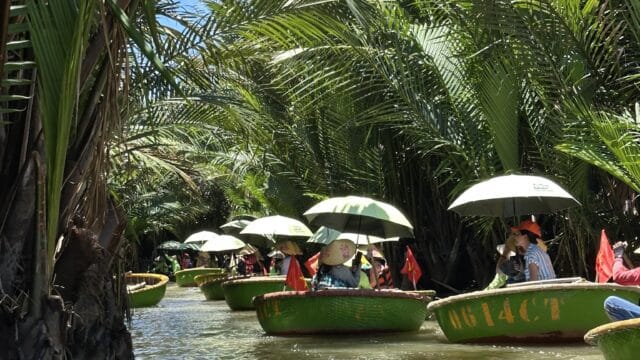 Loi Coconut