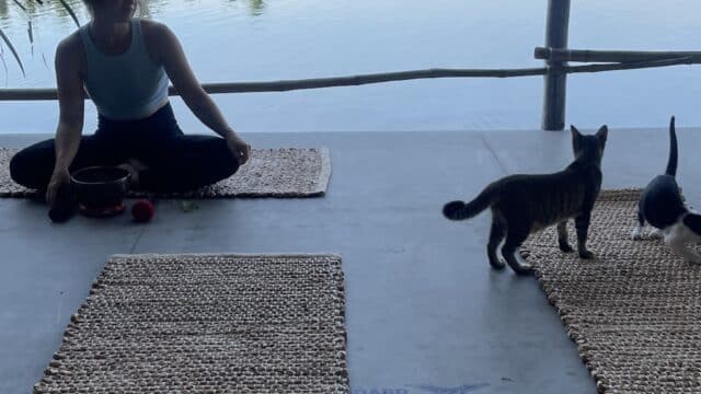Yoga on the Deck