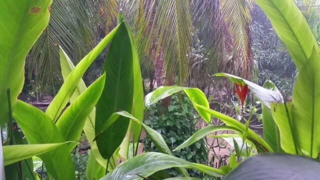 Life Beach Villa