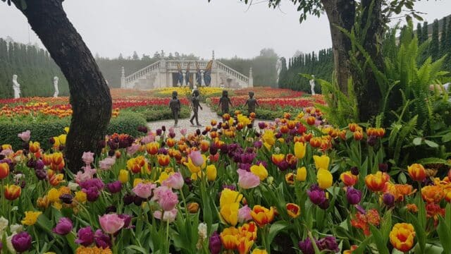 Colorful tulips bloom in a garden with statues, trees, and people strolling near a white staircase reminiscent of Hoi An’s charm.