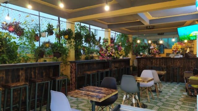 Indoor café in Hoi An with potted plants, wooden tables, colorful chairs, and string lights, creating a cozy atmosphere.