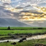 Explore My Vietnam