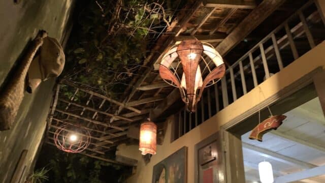 Warmly lit hanging lanterns and plants under a rustic wooden ceiling in a cozy, artistic indoor space.