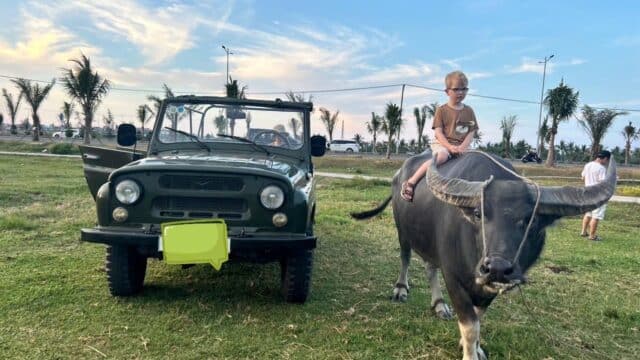 A child rides a water buffalo beside an old green jeep, enjoying local experiences in a grassy Hoi An field with palm trees and blue sky.