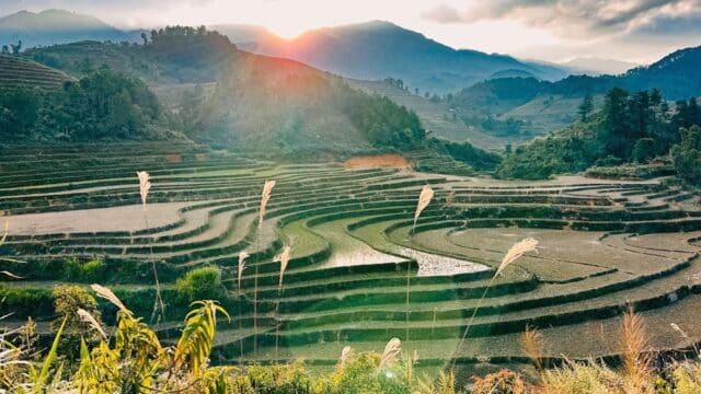 Terraced rice fields in a valley at sunrise, with mountains and clouds in the background near Hoi An.