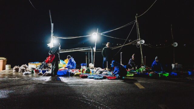 Private tour guides in Hoi An show you the vibrant fish market at night, illuminated by bright overhead lights and containers.