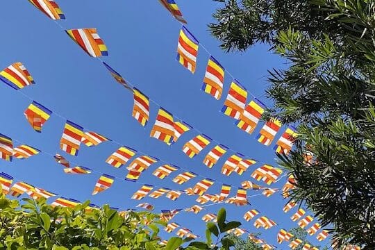 Colorful Buddhist prayer flags strung above green trees on a Hoianese Walking Tour against a clear blue sky.