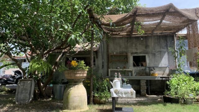 A rustic outdoor kitchen in Hoi An sits under a tree, with potted plants, a bench, and sunlight filtering through a netted roof.