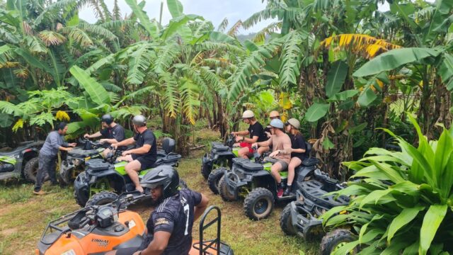 People on ATVs wearing helmets pause on a dirt path surrounded by lush green banana trees in the countryside near Hoi An.