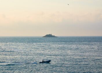 A speedboat crossing toward an island at dawn