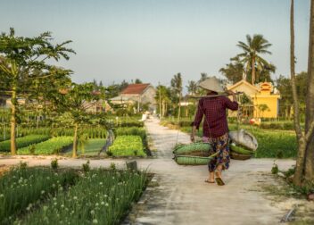 A farmer working garden plots in Hoi An