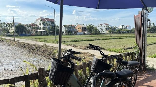 Two bicycles with baskets parked under a blue umbrella in Hoi An, near a field, with houses and a clear sky in the background.