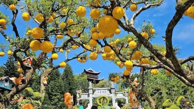 Hoi An Private Car Service - Travel Agencies in Cẩm Châu, Hoi An