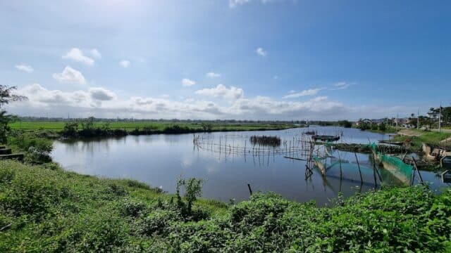 Hoi An Rice Fields Cycling & Sunset - Attractions & Sights in Cẩm Châu, Hoi An