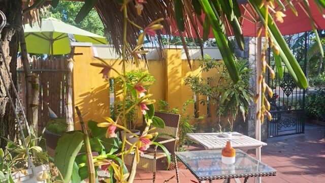 Sunny patio in Hoi An with potted plants, a glass table, two red stools, and a sauce bottle under an umbrella and leafy trees.