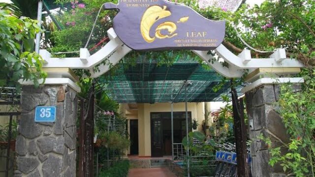 Leaf Homestay - Homestays in Cẩm Châu, Hoi An