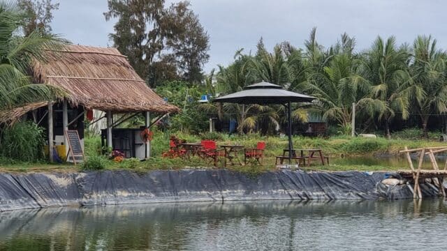 A thatched hut and red chairs sit by a pond in Hoi An, surrounded by palm trees and greenery under a cloudy sky.
